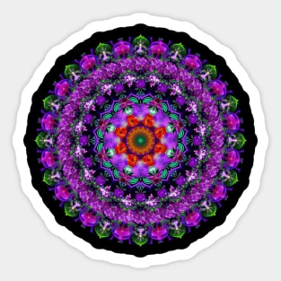 Mandala Magic - Daily Focus 2.19.2023 A2E Sticker